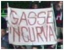 GasseNcurva